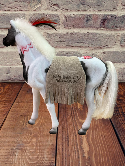 Native American Horse